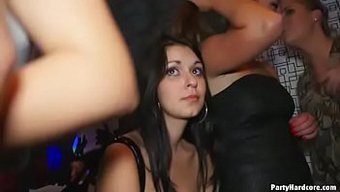 Hardcore, ...